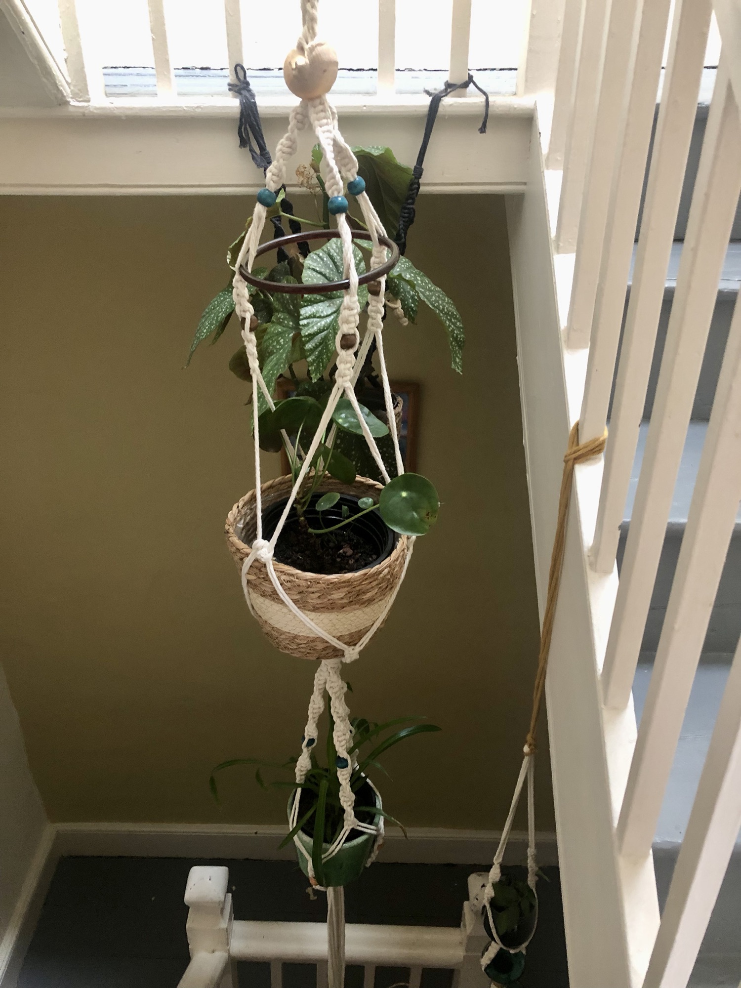 Photos from Macramé workshop